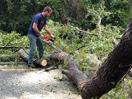 Fowler, IN Tree Services Company